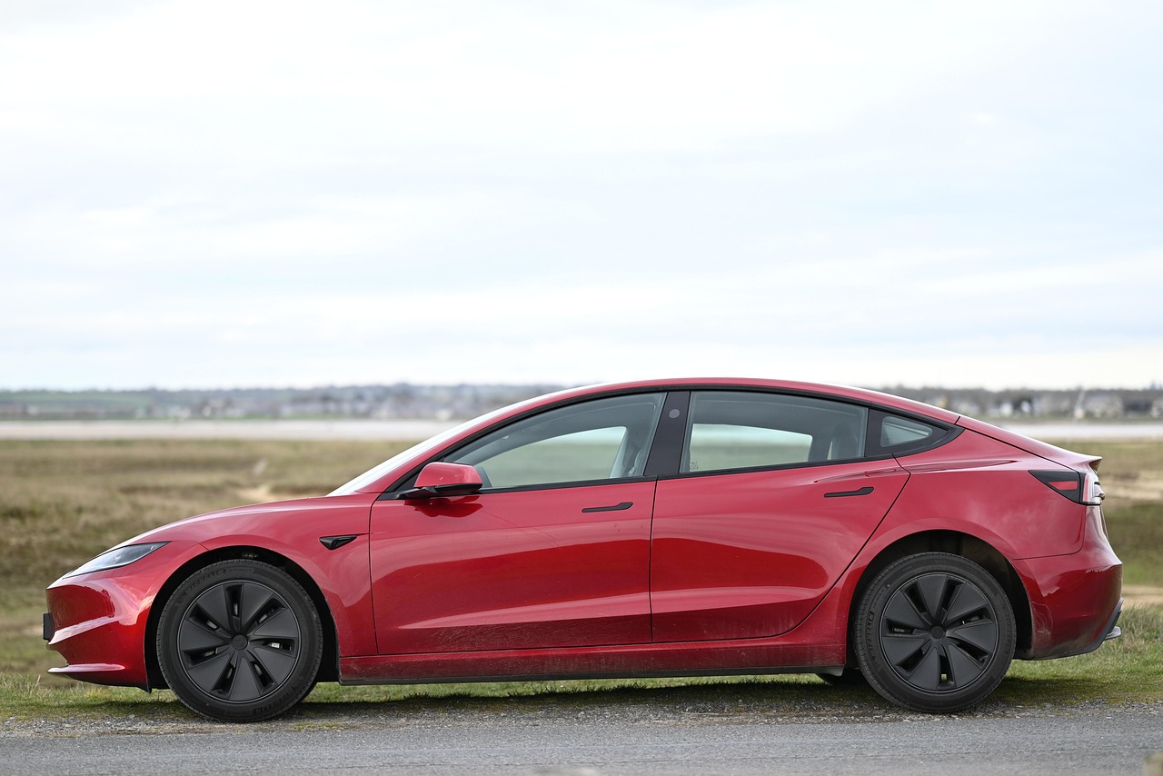 cat costa un full la tesla
